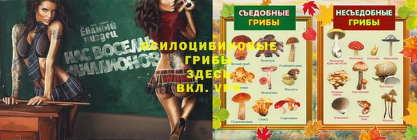 первитин Абдулино