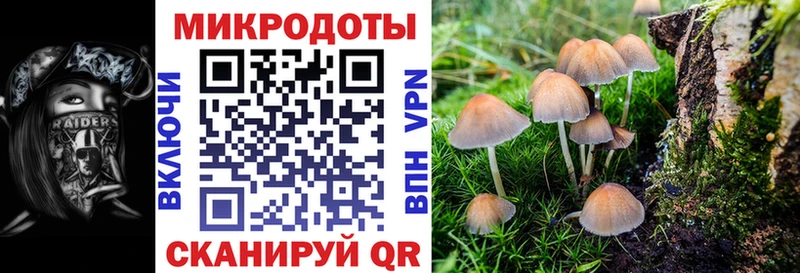 Псилоцибиновые грибы Magic Shrooms Омск