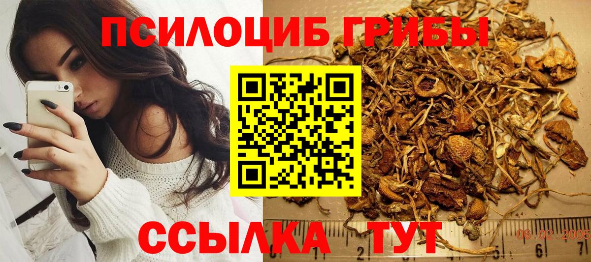 Галлюциногенные грибы Psilocybe  Вход с VPN  Омск  закладка  Псилоцибиновые грибы ЛСД 