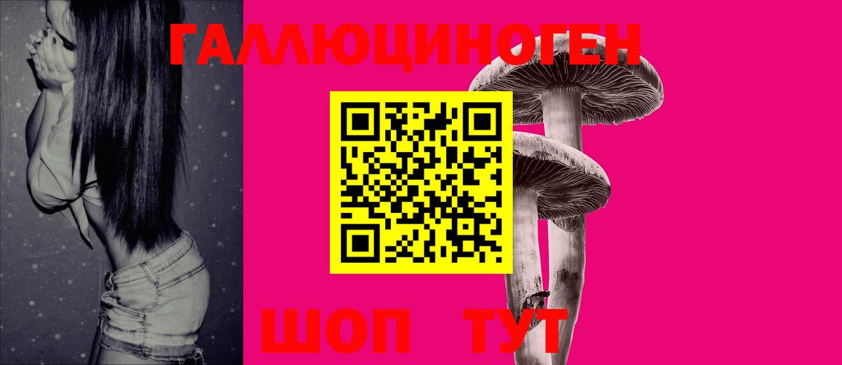 Псилоцибиновые грибы мухоморы Омск